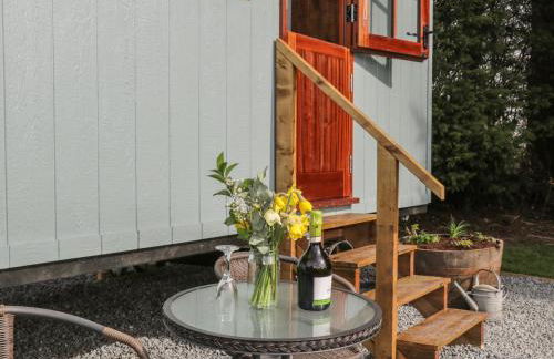 Ewes Welcome - Foto 2