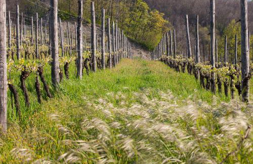 I Tre Poggi Dimora di Charme - Foto 57