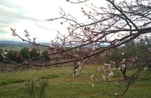 La Muntanera - Foto 37