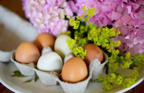 Admiral's Cottage - Photo 14