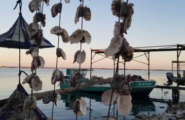 La Baraquette de Thau - Foto 27