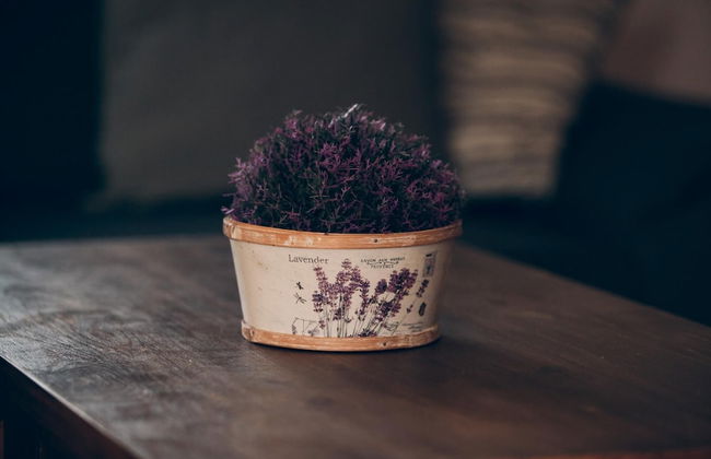 Lazne Libverda Llp015 - Photo 2