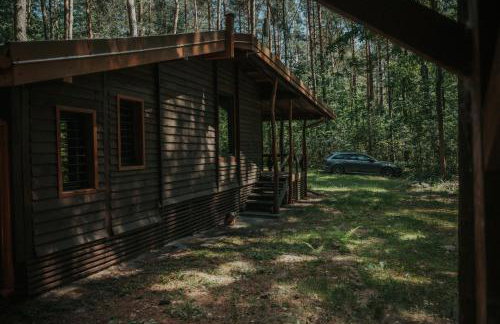 Forest Cabin - 50min od Warszawy - Foto 23