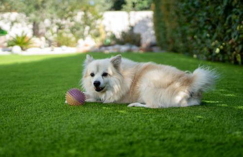 Oasi della pace - Foto 9