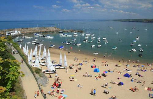 Ddol Cottage Traditional Coastal cottage nr Llangrannog & New Quay with Donkeys - Photo 23