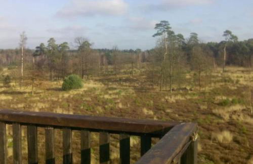 Holiday Home Natur by Interhome - Foto 17