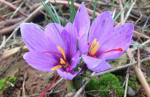 Cascina Folletto - Foto 28