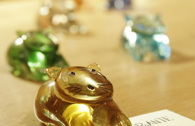 Posada La Gatera - Foto 18