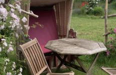 Storchenblick - Foto 15