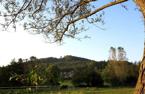 Ferienwohnung Wintergarten in Bad Pyrmont - Foto 31