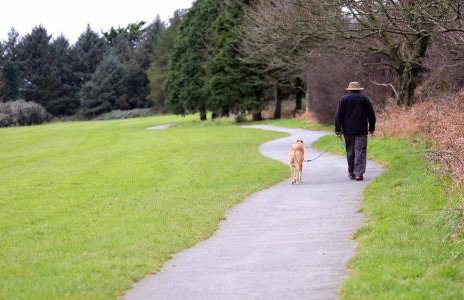 Furzy House - Foto 16