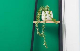 Free Parking, Families, Short Stays - Durham - Photo 22