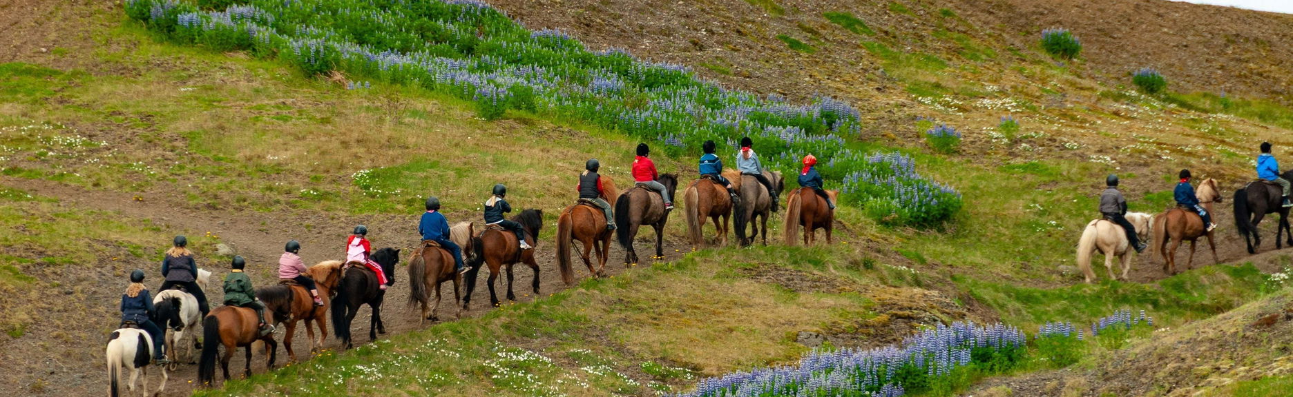 Golden Circle & Horse Riding Tour