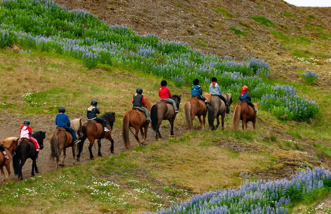 Golden Circle & Horse Riding Tour - Photo 1