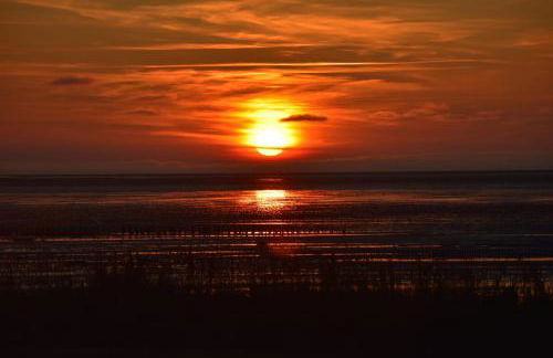 Nordseedeich - Foto 13