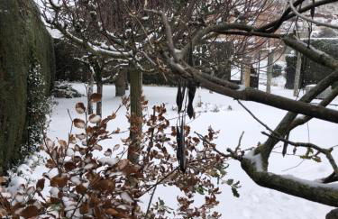 Paleolítico rural - Photo 61