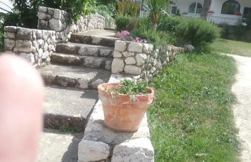 Apartman Put - Photo 24