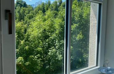 Bergelemente - Gmundberg Apartment - Foto 43