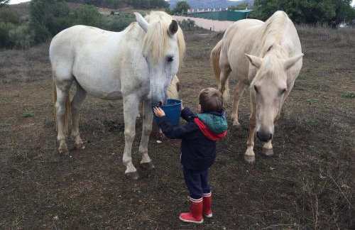 Hotel Rural Finca La Herencia - Foto 45