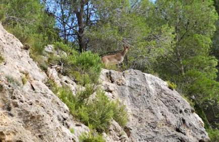 LA MANDUCA - Foto 10