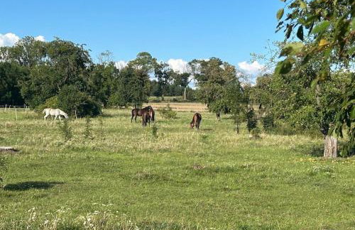 Nad stawem dom - Foto 17
