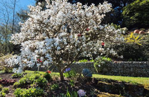 Amstadt's Birkenfels - Photo 14