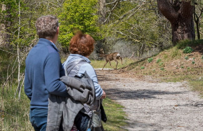 Holiday Home in De Punt With Pool & Garden - Photo 34