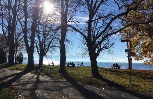 ADORIS APPARTEMENTS im Lotzbeckpark am See "nachhaltiges Wohnen in Lindau" - Foto 32