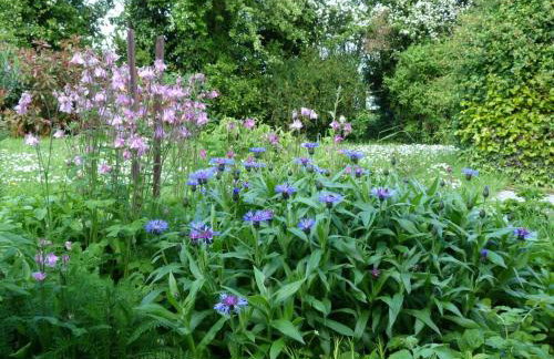 1 Bed in Taunton oc-49569 - Foto 10