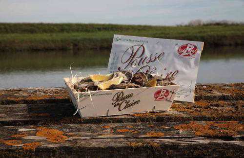 Maison RONCE LES BAINS - Foto 37