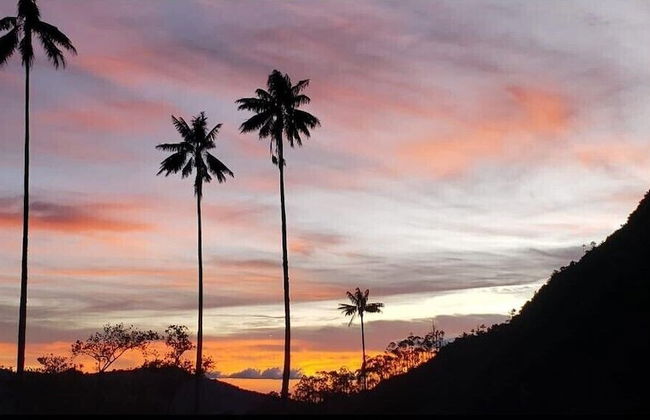 Bosques de Cocora Donde Juan B - Photo 18