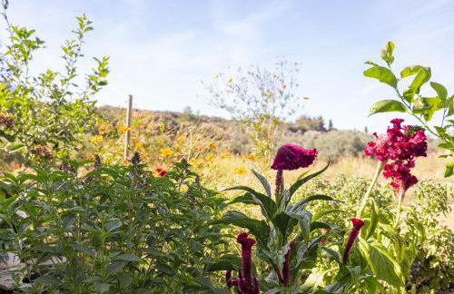 Lagos House Α - Photo 9