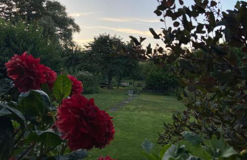 Ferienhaus am Beverinsee - Foto 20