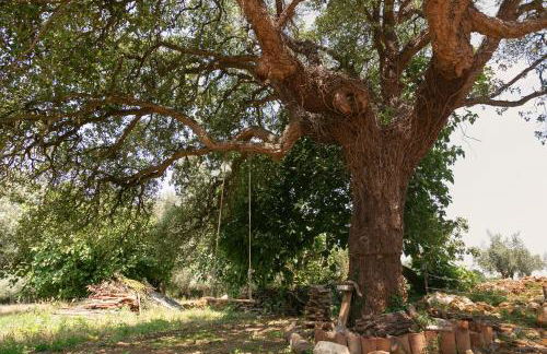 Pátio Serrano - Foto 59