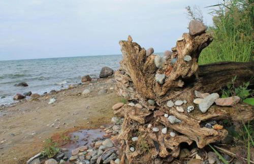 Damshagen Küstenkomfort - Foto 32