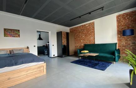 Apartamenty Gliwice Staromiejska 65 - Foto 53