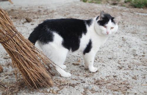 Unterbergerhof - Photo 50