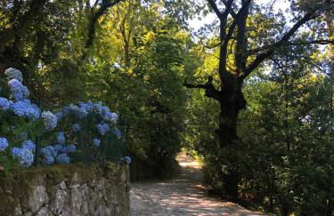 Sobreiro Valley - Casa Firmino - Foto 36