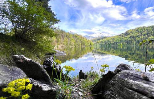 Ferienhaus Bachperle - Alpenidyll mit Kamin, Balkon oder Terrasse für Genießer - Foto 74