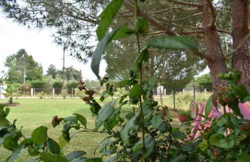 Konaki Guesthouse - Photo 39