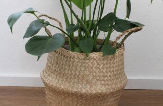 Ferienwohnung Greuel - Foto 47