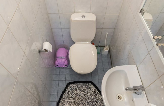 Pajulintu - Photo 26