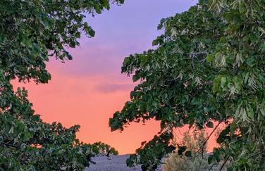 Seeliebe Ferienwohnung am Brombachsee - Foto 24