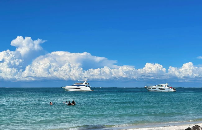 Sunshine Siesta - Hosted By SkyRun Anna Maria - Foto 77