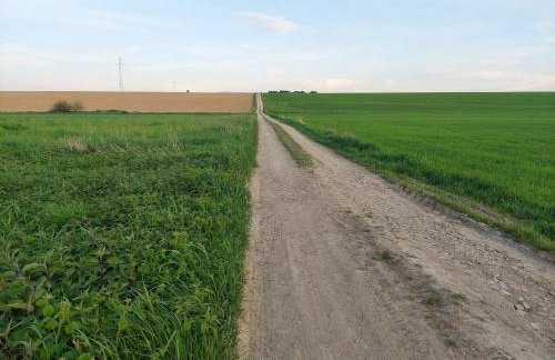 Agroturystyka Bierna. Gospodarstwo rolne. - Foto 12