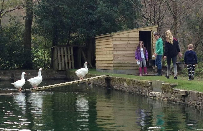 Relax in Sunset View Cottage on Cwmiar Farm - Photo 15
