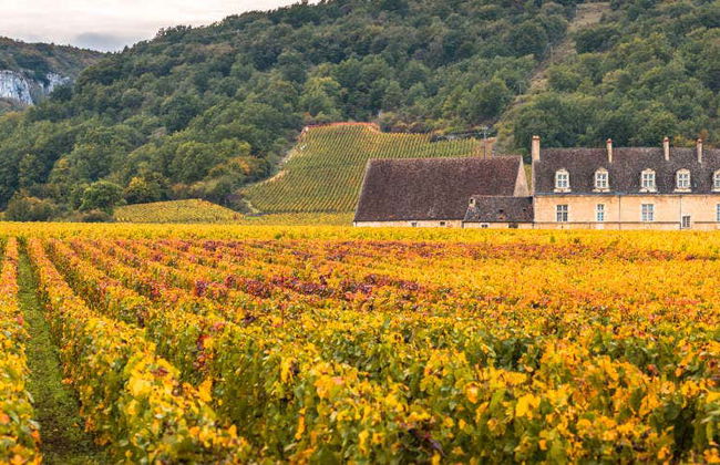 Burgundy Wine Tour - Photo 1