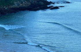 Apartamentos Olga Cantabria 2 - Foto 59