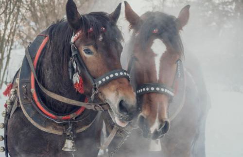 Widokowe Stodoły Bieszczady - domy z panoramą połonin - Foto 36