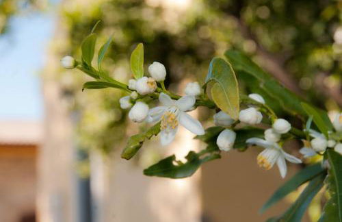 Il Giardino del sole - Foto 64